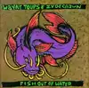 cd wayne toups and zydecajun - fish out of water (2002)