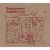 cd brownswood blubbers four
