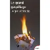 livre le grand gaspillage - les vrais comptes de l'etat
