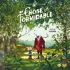 cd une chose formidable - (1 audio)