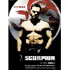 dvd scorpion (droit locatif)