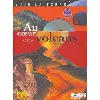 livre au coeur des volcans