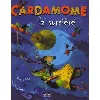 livre cardamome la sorcière