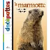 livre la marmotte, lutin des alpages