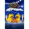 livre le journal de gurty tome 13 - c'est nul d'être amoureuse
