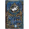 livre les aventures de sherlock holmes - volume 1