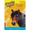 livre les poneys magiques - numéro 6 un amour de poney