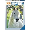 puzzle puzzle 500 p - charmante jument
