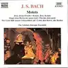 cd johann sebastian bach / the scholars baroque ensemble - motets (1997)