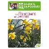 dvd le printemps au jardin - coffret - volume 1