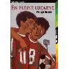 livre en pleine lucarne