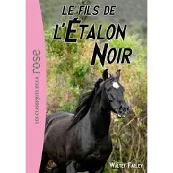 livre l'etalon noir tome 4 - le fils de l'étalon noir