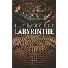 livre labyrinthe. roman