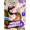 livre promise cinderella - tome 01