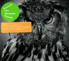 cd beyond the wizards sleeve - beyond the wizards sleeve re - animations vol. 1 (2009)