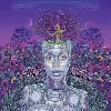 cd new amerykah part ii - return of the ankh