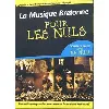 cd pour les nuls: la musique bretonne pour les nuls