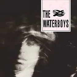 cd waterboys waterboys