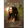 dvd one love bob marley all star : a tribute to bob marley