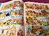 livre asterix le gaulois collection pilote 1961 tbe dargaud goscinny uderzo