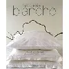 livre broderie blanche