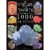 livre les minéraux et les fossiles en 1000 photos
