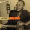 cd big joe williams - have mercy! (1996)