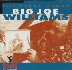 cd big joe williams - the final years (1994)