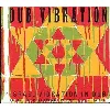 cd dub vibration