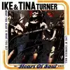cd ike & tina turner - what you hear is what you get (live at carnegie hall) (1998)