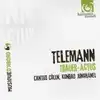 cd telemann / cantus cölln, konrad junghänel - trauer - actus / cantatas (2010)