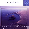 cd yogitea - magie de la mer (2004)