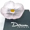 daum france fleur de cactus rose