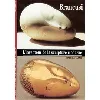livre brancusi