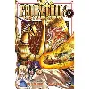 livre fairy tail - 100 years quest t17