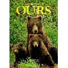 livre le grand des ours