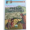 livre les aventures de quentin et louis - tome 1 - le trésor de fanfouétomas