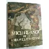 livre michel - ange et la chapelle sixtine