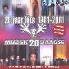 cd  - 20 jaar hits 1981 - 2001