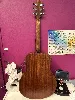 guitare gs mini taylor acajou
