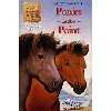 livre animal ark summer special 2: ponies at the point
