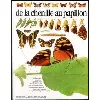 livre de la chenille au papillon