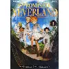 livre demizu, p: promised neverland