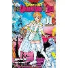 livre dragon quest - the adventure of dai - tome 11