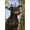 livre le pinscher