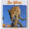 livre les félins
