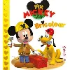 livre mickey bricoleur