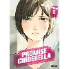 livre promise cinderella - tome 02