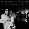 cd bruce hornsby & the range - a night on the town (1990)