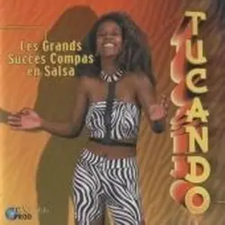cd grands succes compas